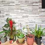 Dal Monsingore Appartement