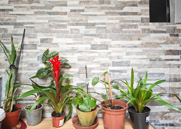 Dal Monsingore Appartement