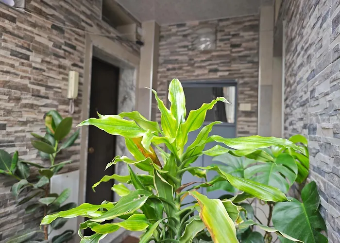 Dal Monsingore Apartment *